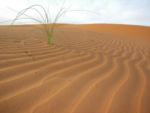 woestijn op weg naar Goulimine