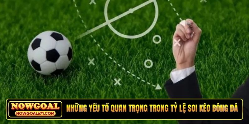 Những yếu tố quan trọng trong tỷ lệ soi kèo bóng đá